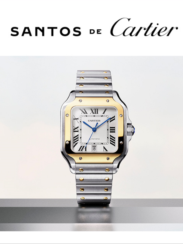 cartier-600x800